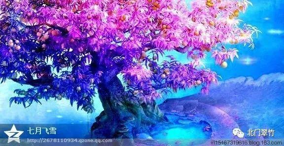 探索雪里红怎么腌制才绿，发现无限乐趣！
