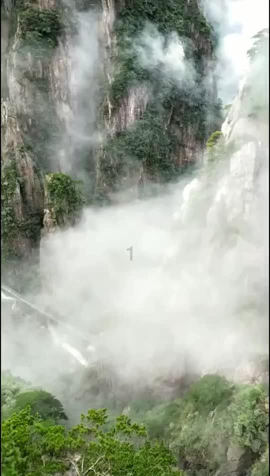 逗小猴开心系列200